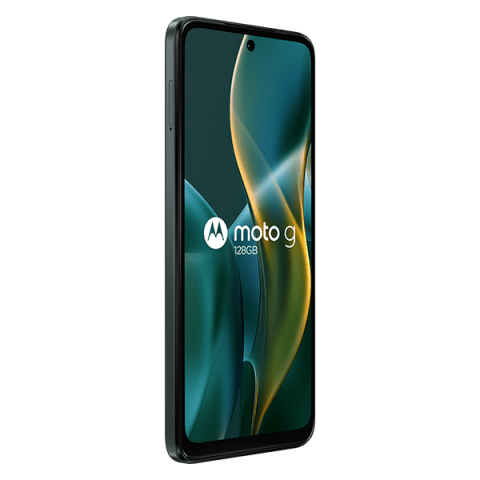 Motorola Moto G - 2025 Forest grey 128 GB New