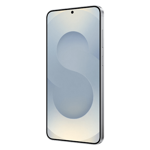 Samsung Galaxy S25+ Silver shadow 256 GB New